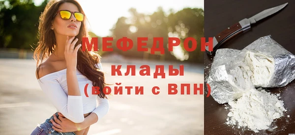 МДПВ Каменногорск