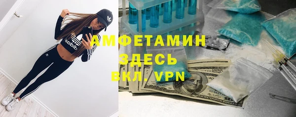 метадон Каменка