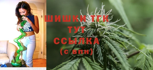 МДПВ Каменногорск