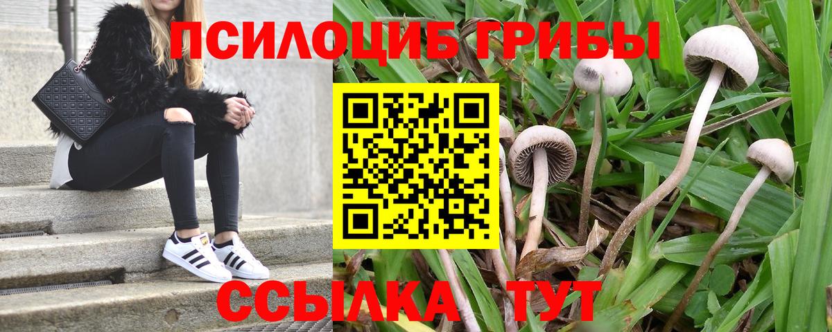 Галлюциногенные грибы GOLDEN TEACHER  Галлюциногенные грибы ЛСД  Энгельс  Вход с VPN 